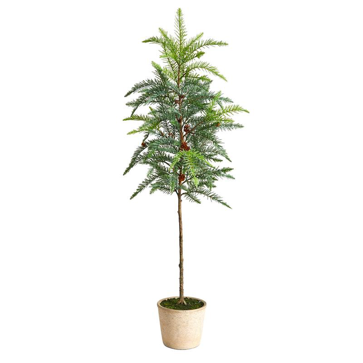 3.5 Winniepeg Artificial Pine Christmas Tree in Decorative Planter