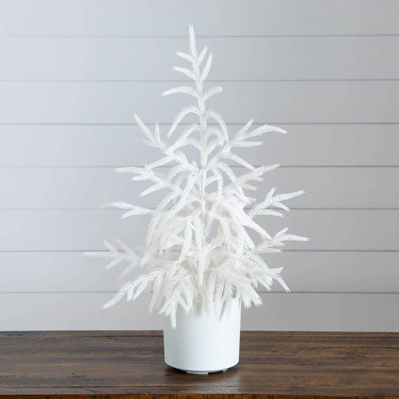 2' Artificial Real Touch White Norfolk Island Pine Christmas Tree with Natural Look