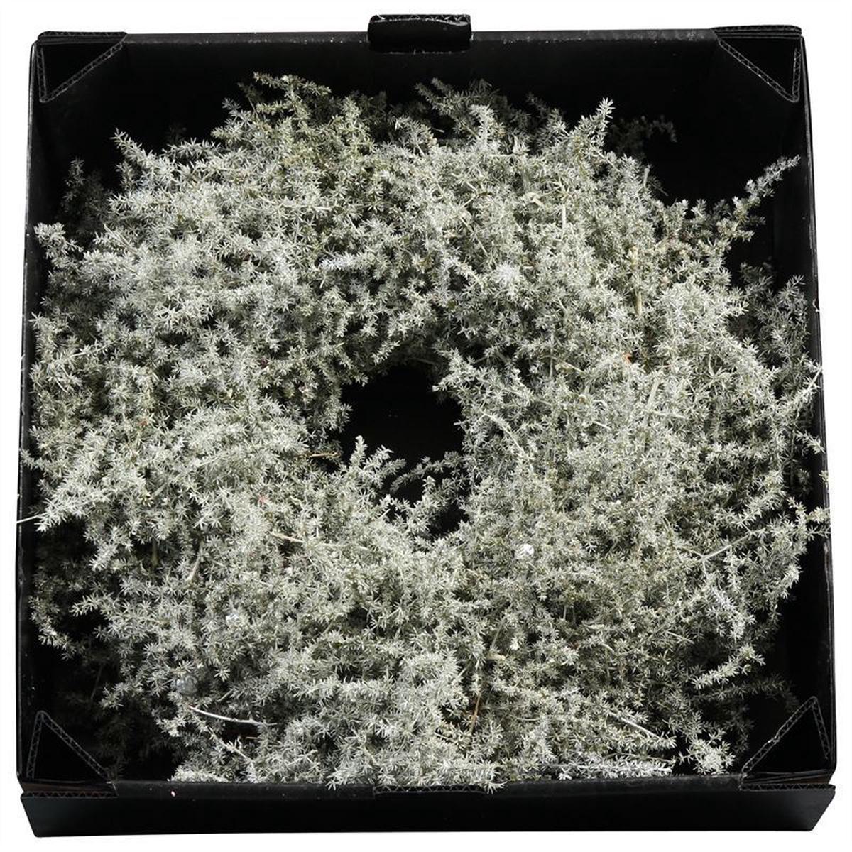 Wreath Asparagus D45  Antique Olive Wax