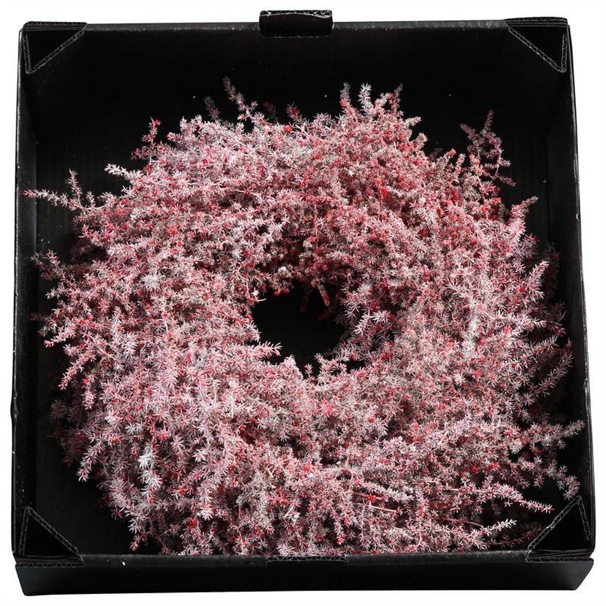 Wreath Asparagus D35cm Red Wax