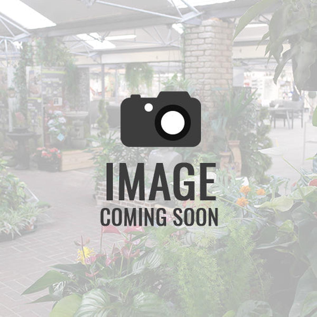 Winter Woodland Frosted Christmas Garland (180cm)