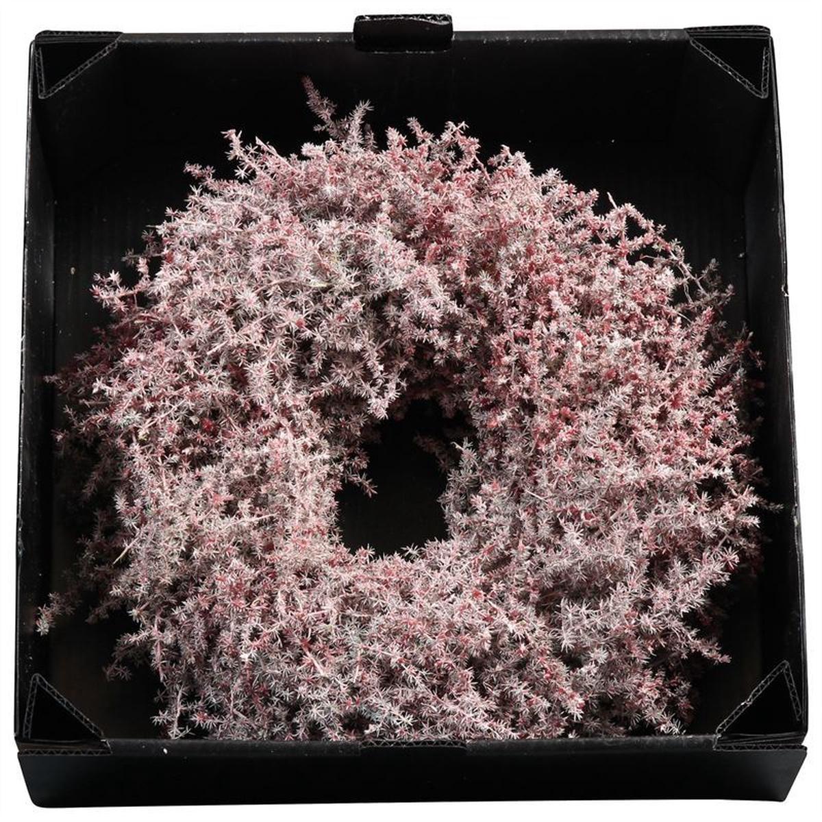 Wreath Asparagus D60cm Bordeaux Wax