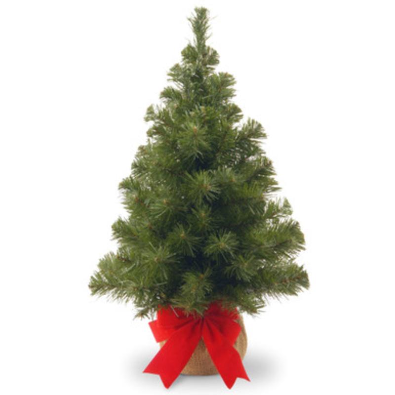 2 Potted Noble Spruce Medium Artificial Christmas Tree, Unlit