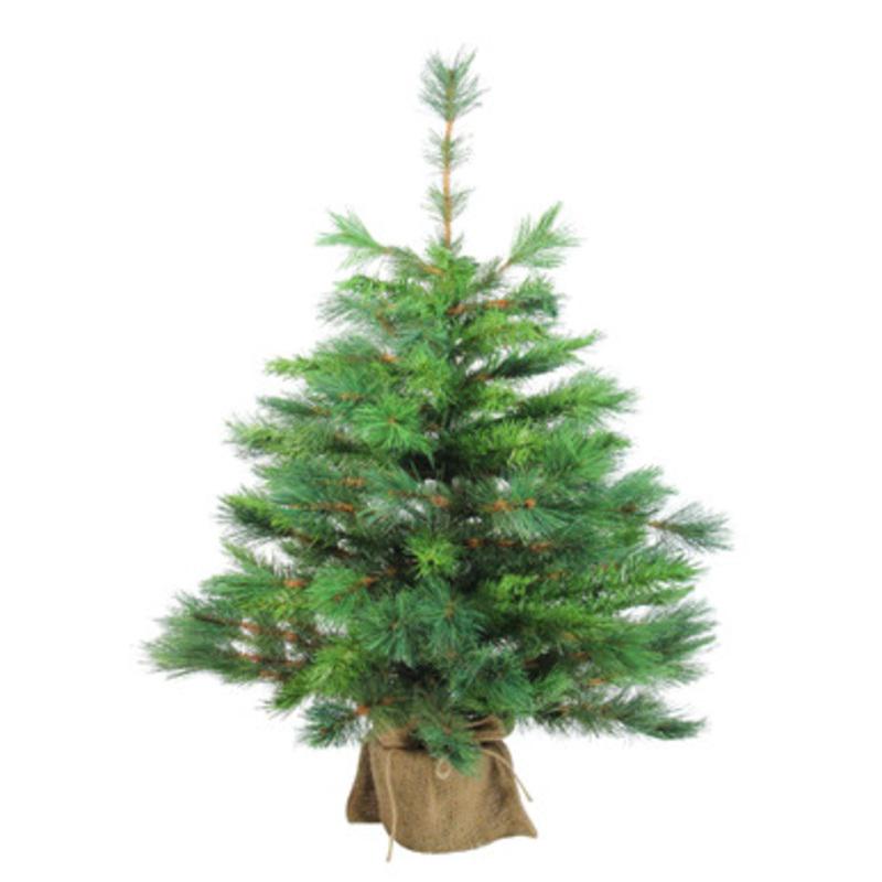 3 Potted New Carolina Spruce Medium Artificial Christmas Tree  Unlit