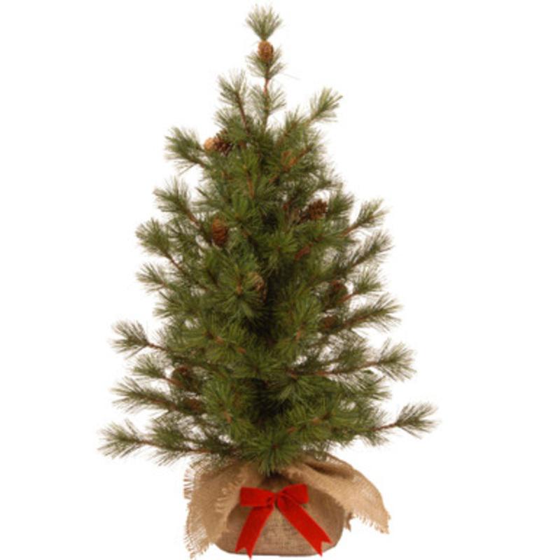 3 Slim Bristle Cone Pine Burlap Base Artificial Christmas Tree  Unlit