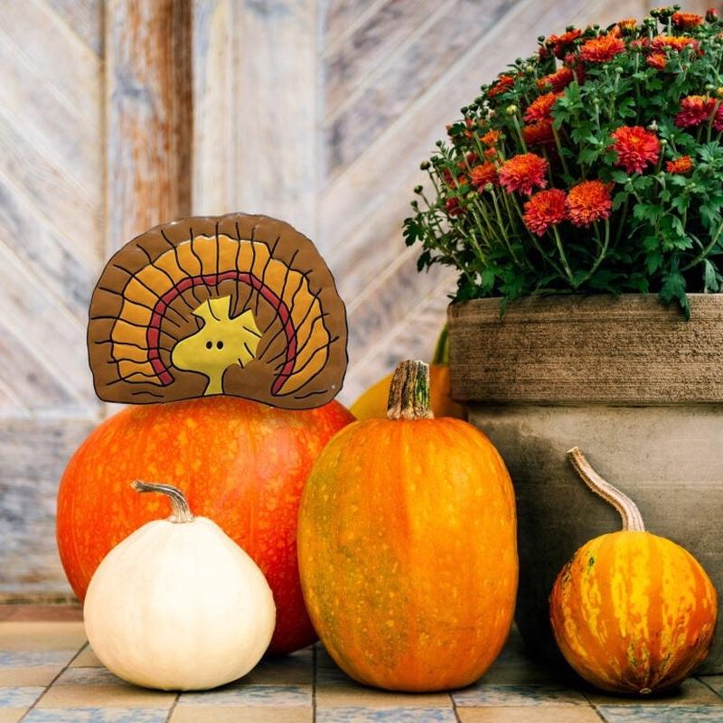 Peanuts Woodstock/Turkey Pumpkin Press-In Decoration