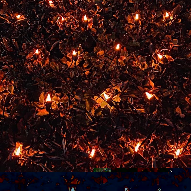 4' x 6' Net Light Set (Orange/Purple)