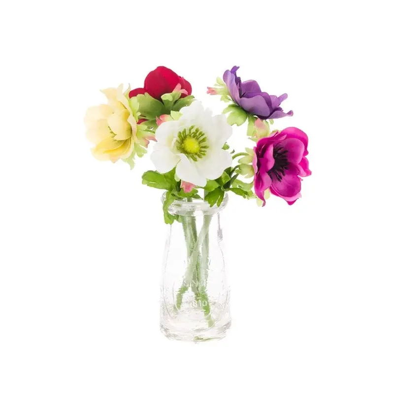 Anemone x5 in Milk Bottle