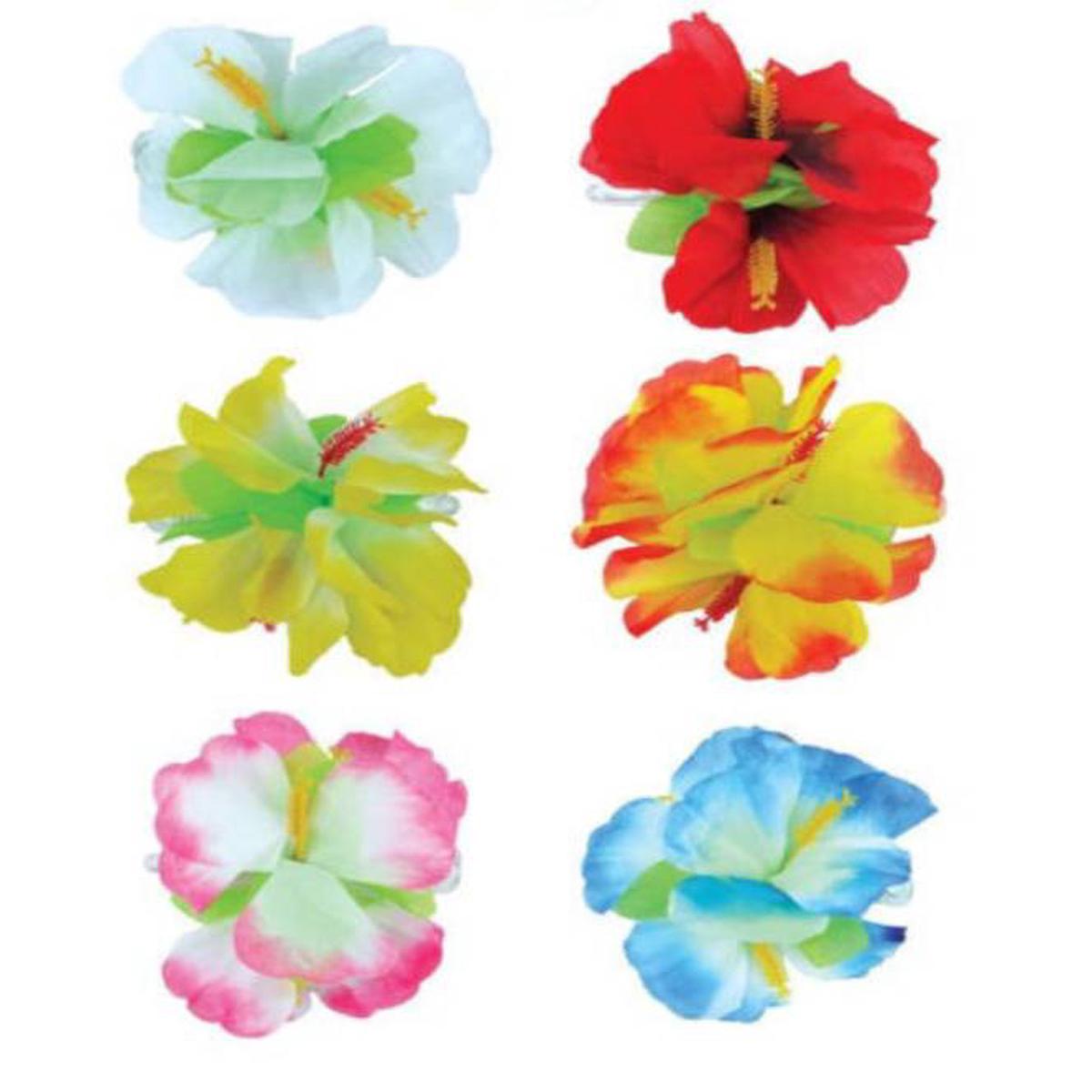 Hawaiian Hibiscus Flowers
