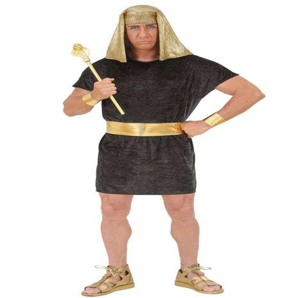 Adult Egyptian Pharaoh Carnival Costume