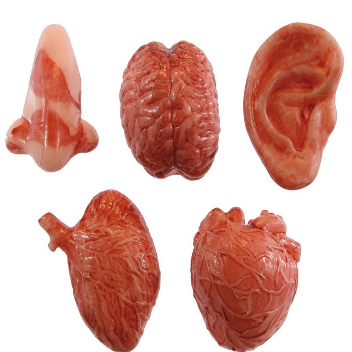 Assorted Sticky Body Parts Halloween Pranks