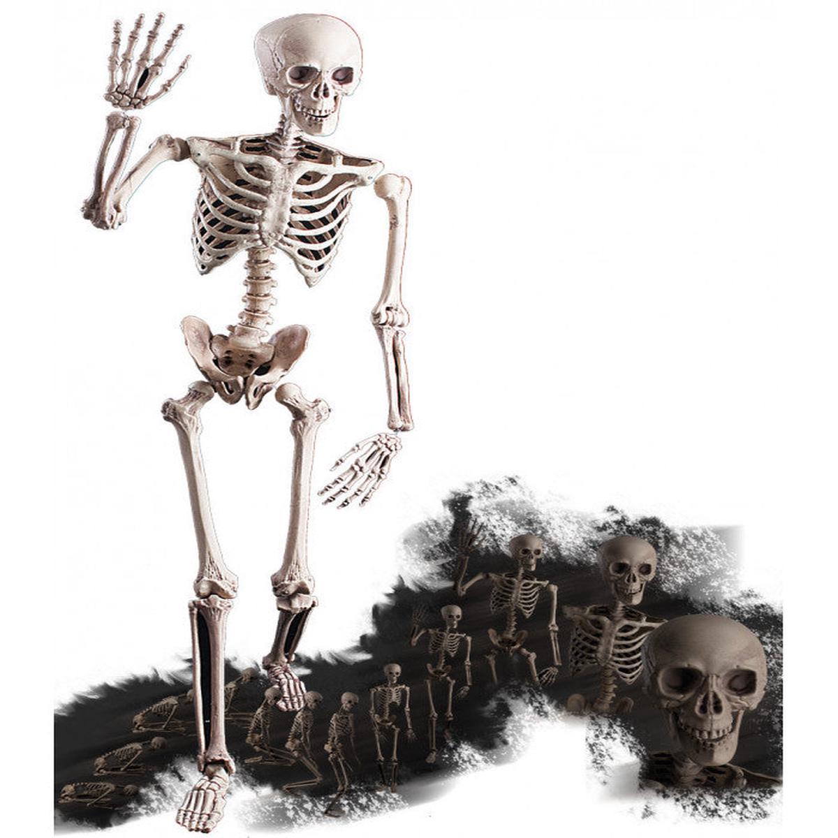 160cm Jointed Skeleton Halloween Ornament