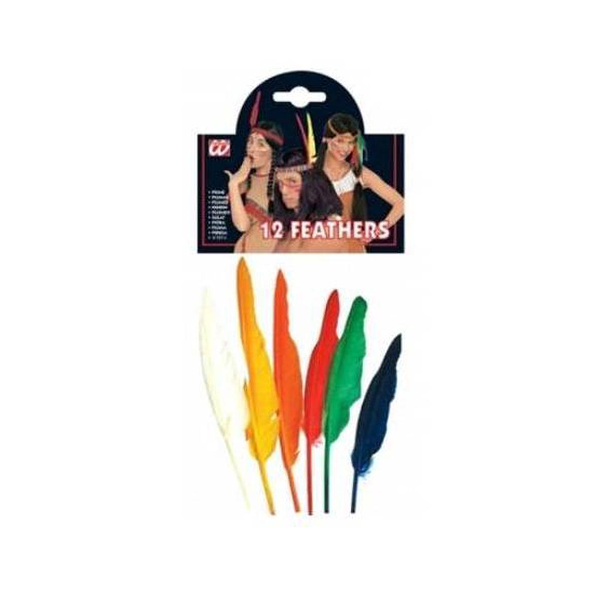 Set of 6 Feathers