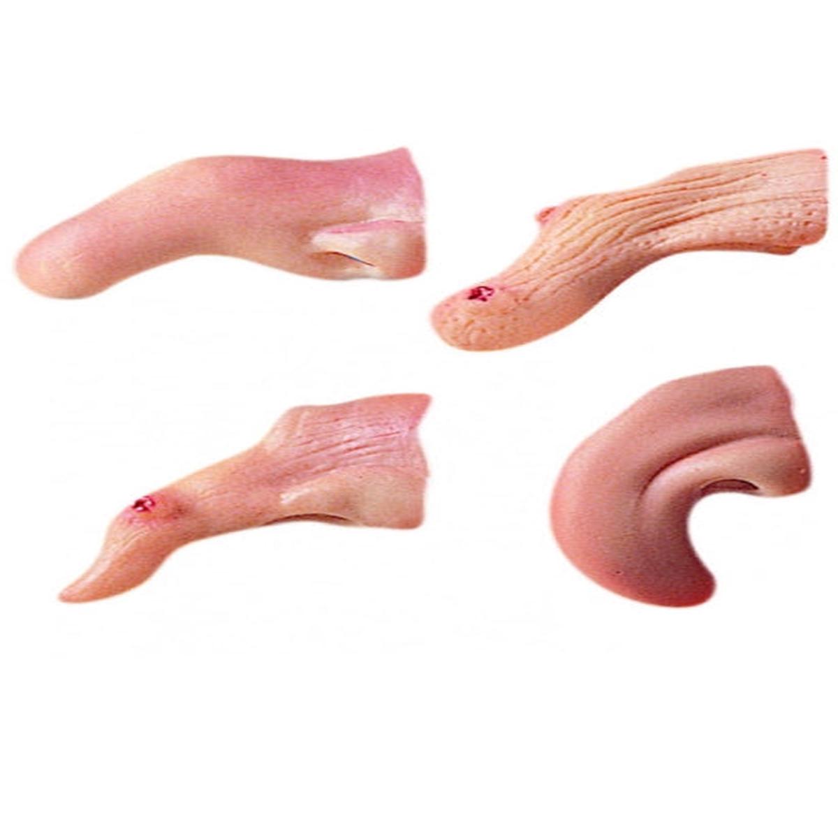 Assorted Witch Nose Halloween and Carnival Accessories