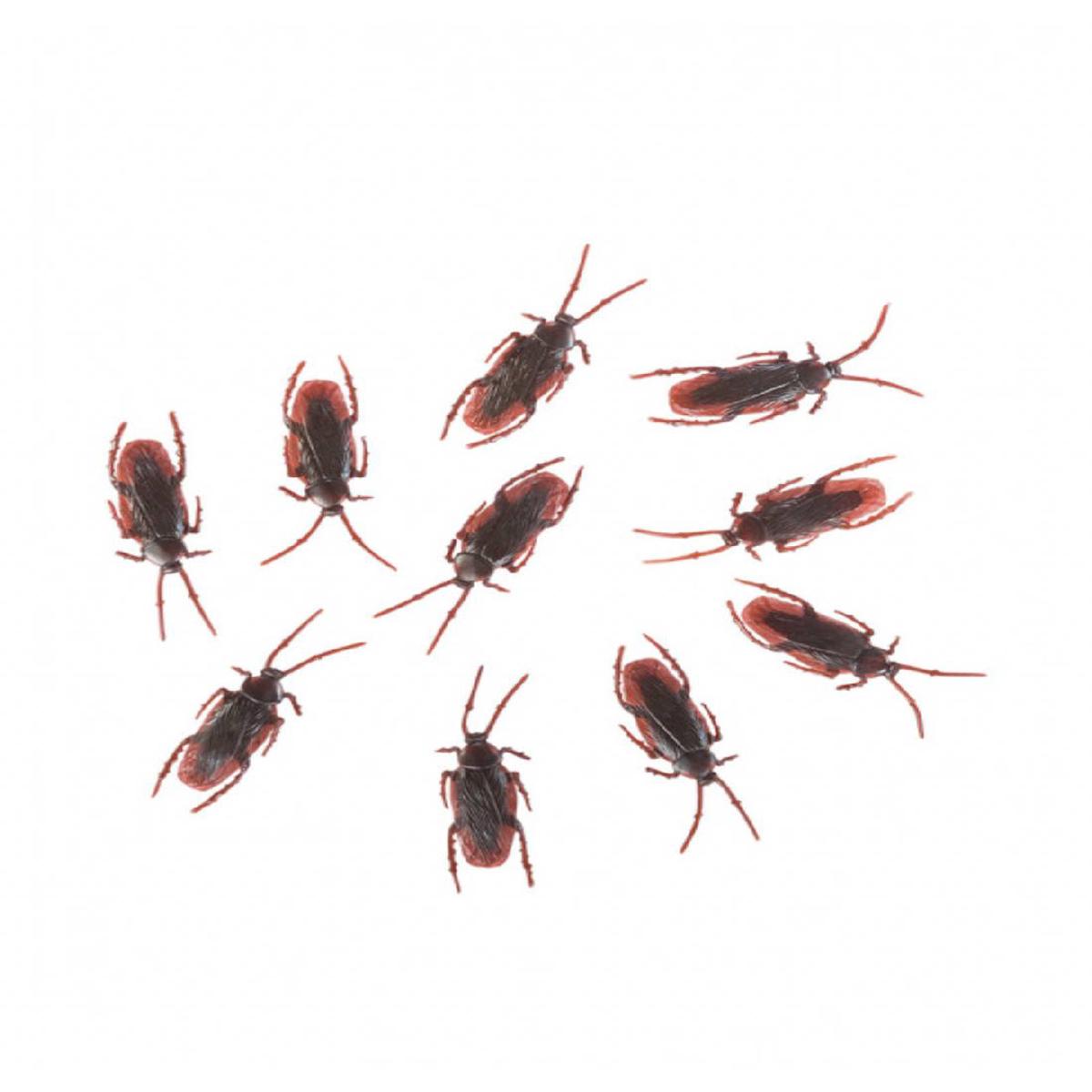 Set of 10 7cm Halloween Cockroaches