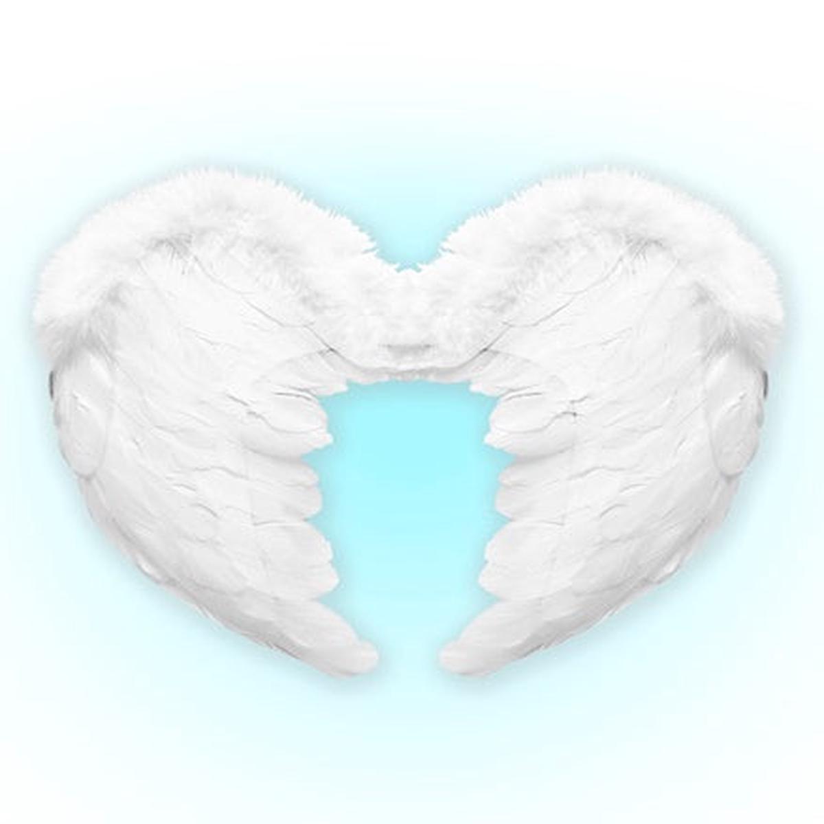 White Feathered Wings 50x40cm Halloween Accessories