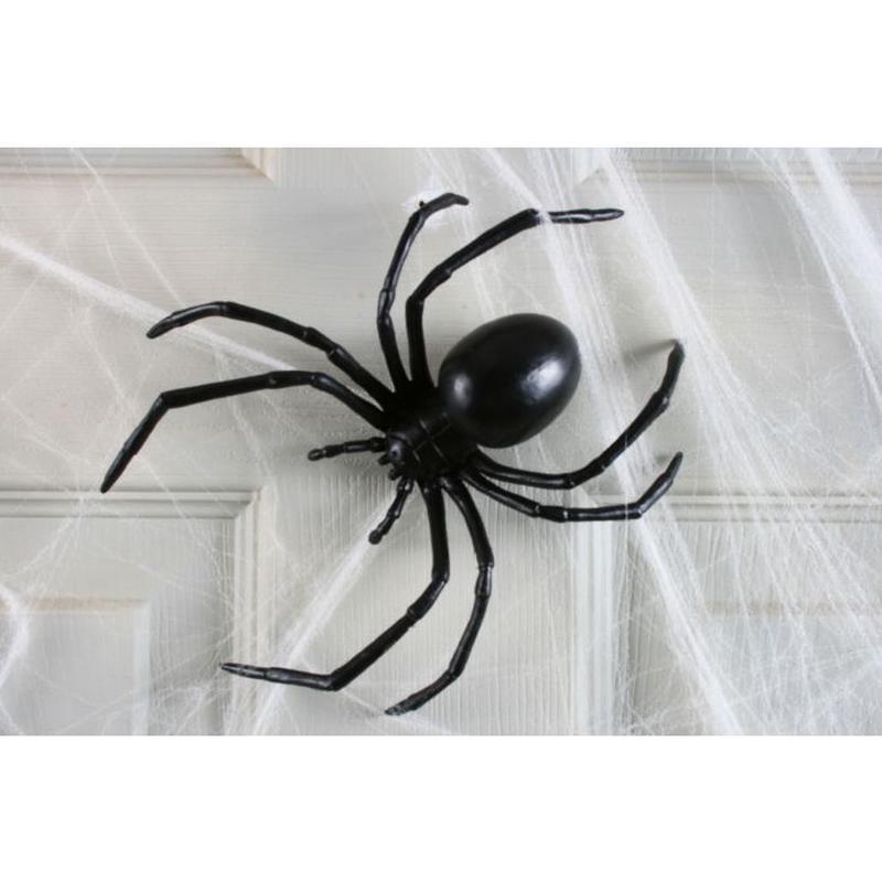 6" Black Widow Spider