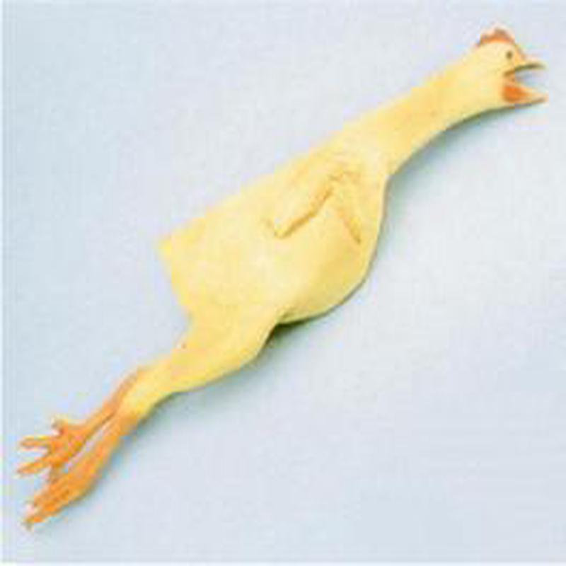 Rubber Chicken