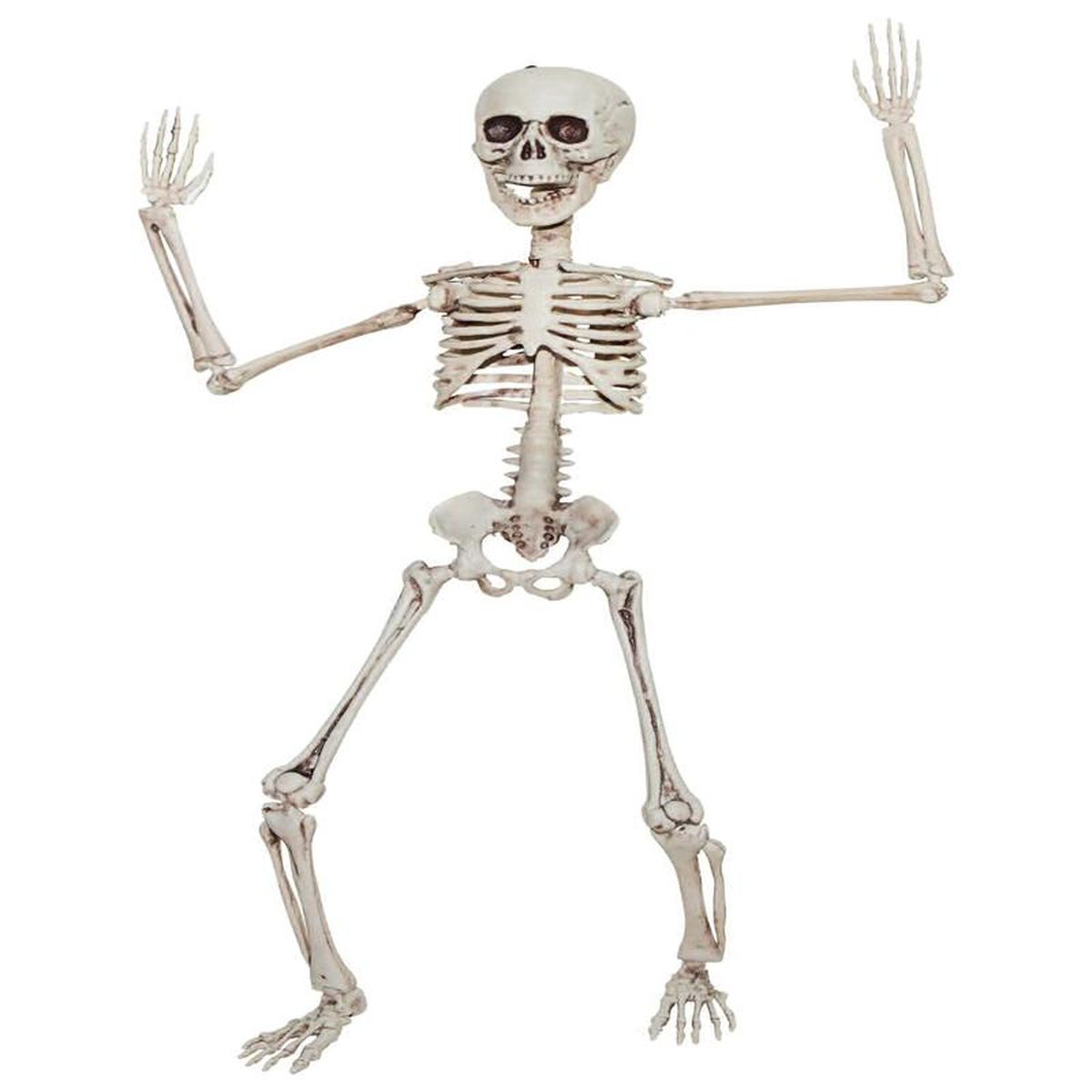208221 Posable Skeleton