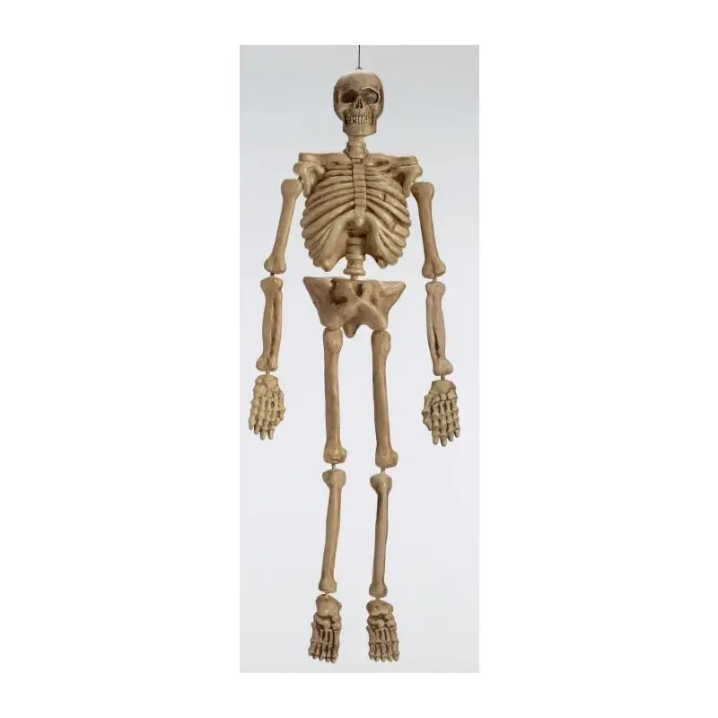 5 ft. Realistic Skeleton