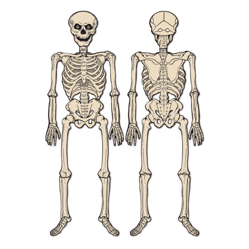 Vintage Jointed Skeleton