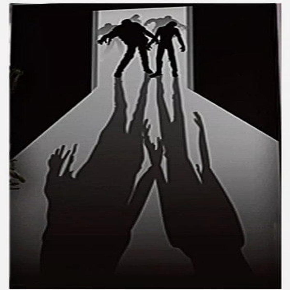 Walking dead zombie door cover