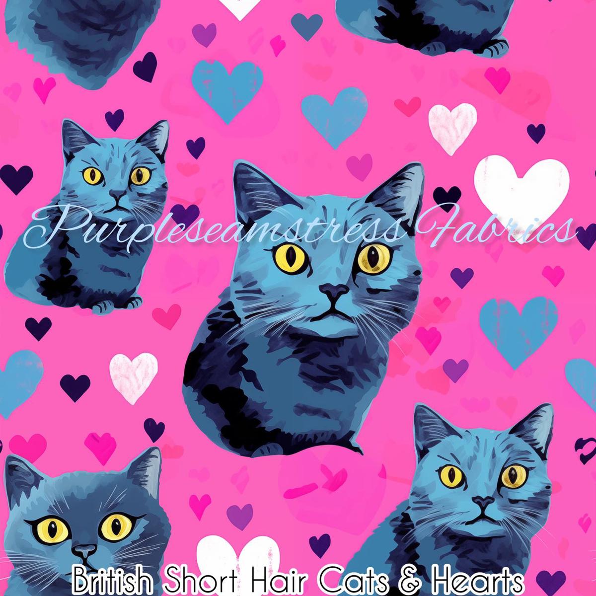 British Shorthair Cats 7 Hearts  ...