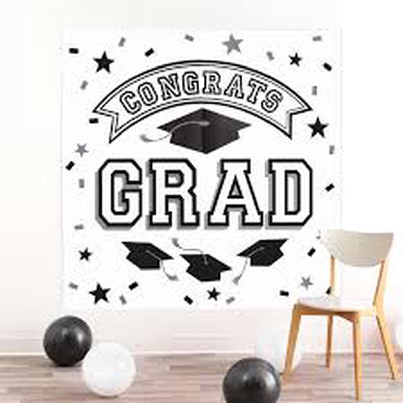 Backdrop - 2pc White Grad Scene Setter