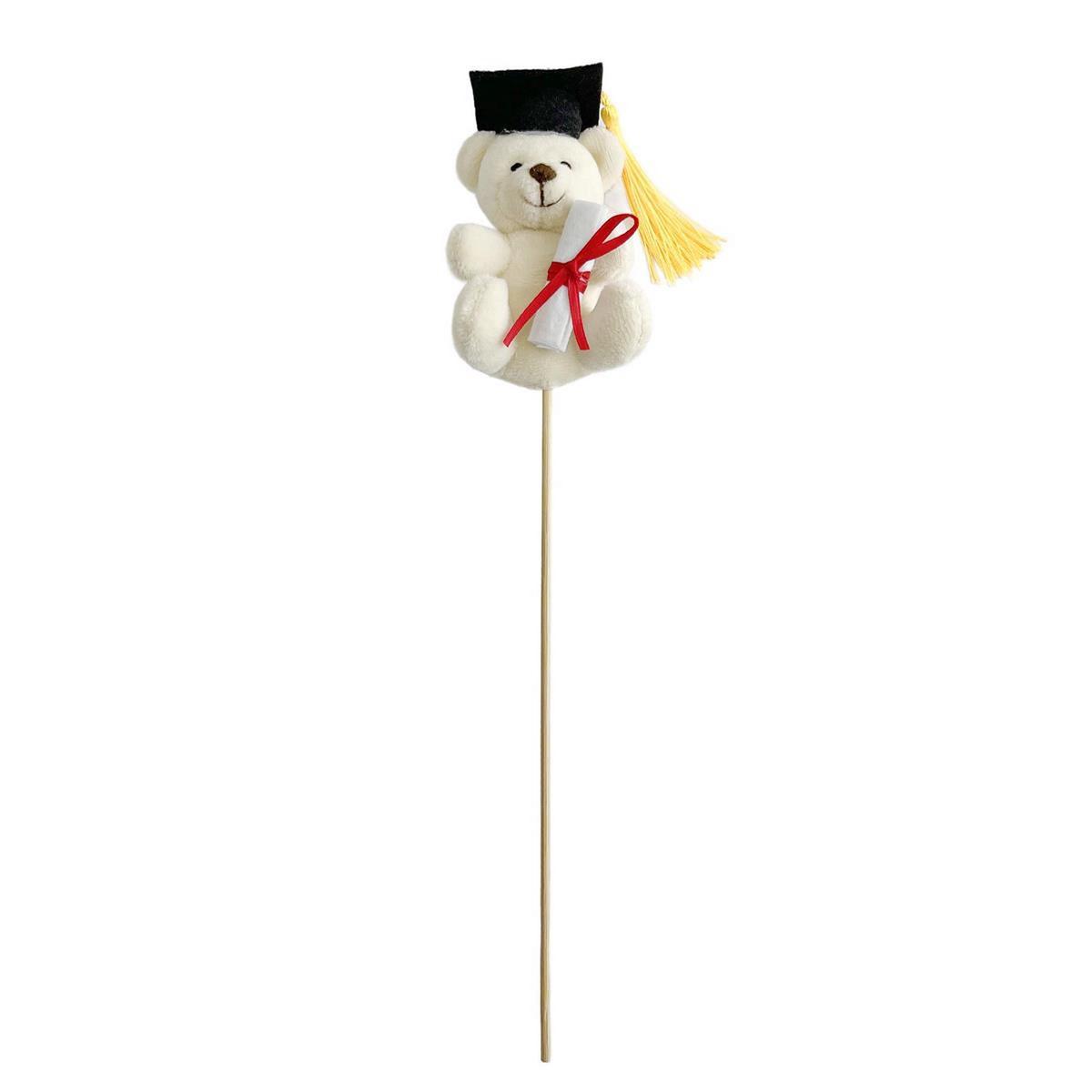 Graduation Teddy Bear Pick