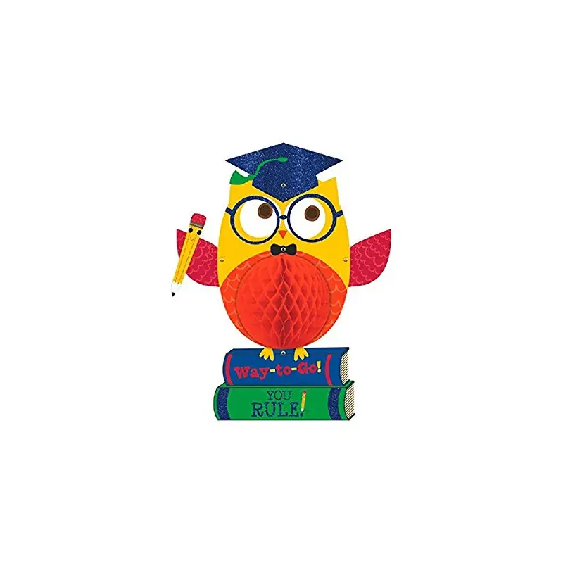 19" Graduation Honeycomb Owl Hanging Decoration