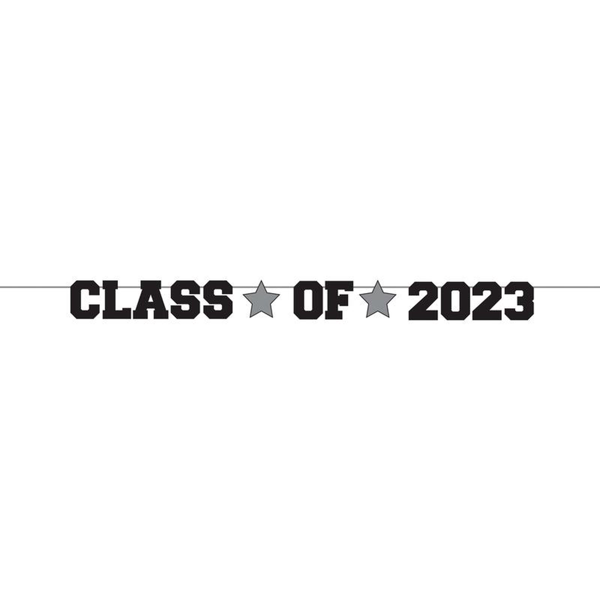 Banner 8211 School Spirit