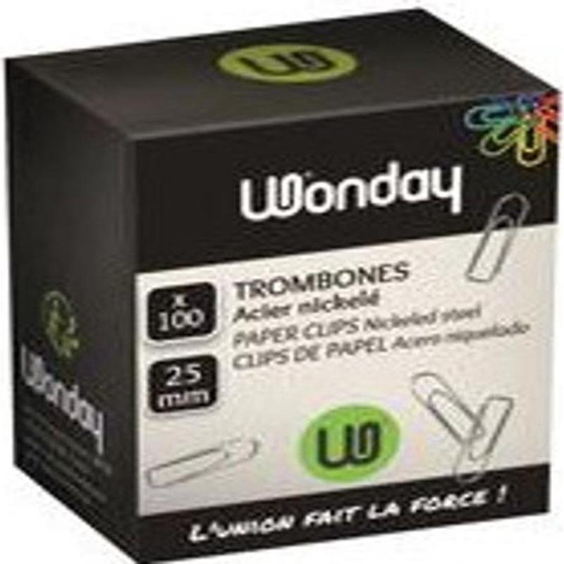 100 paperclips 25mm wonday (#126209)