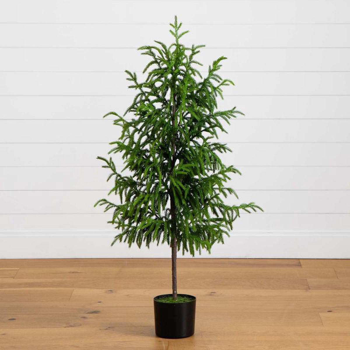 48242 Artificial Norfolk Pine Tree