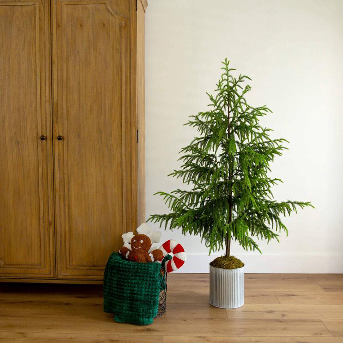 5 Artificial Real Touch Norfolk Island Pine in Metal Tin Planter with Natural Look